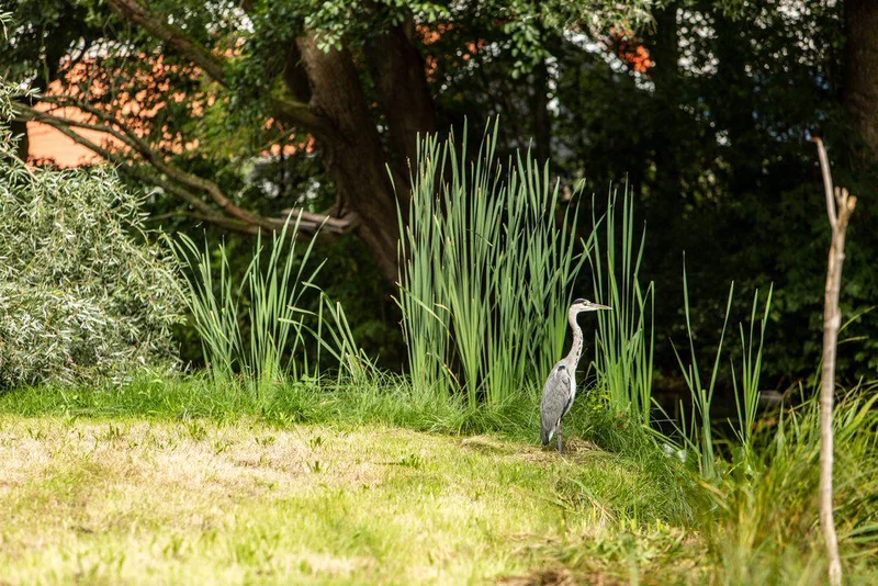 Park-inclusief bouwen